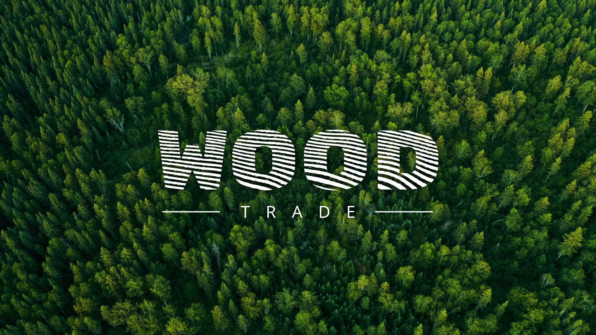 Разработка интернет-магазина компании «Wood Trade» в Ногинске
